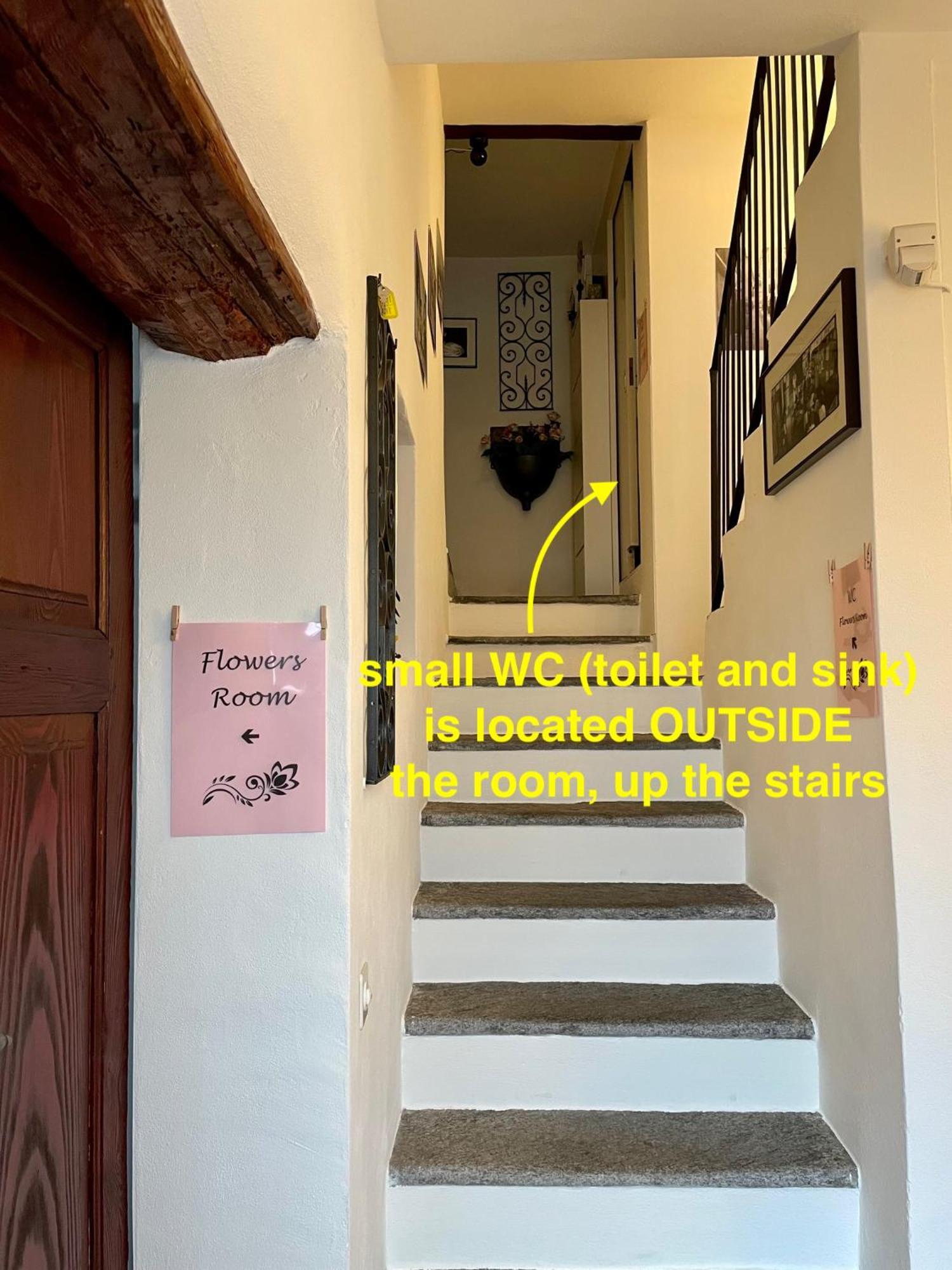 1912 - Flowers Room - Budget For Young Locarno Exterior photo